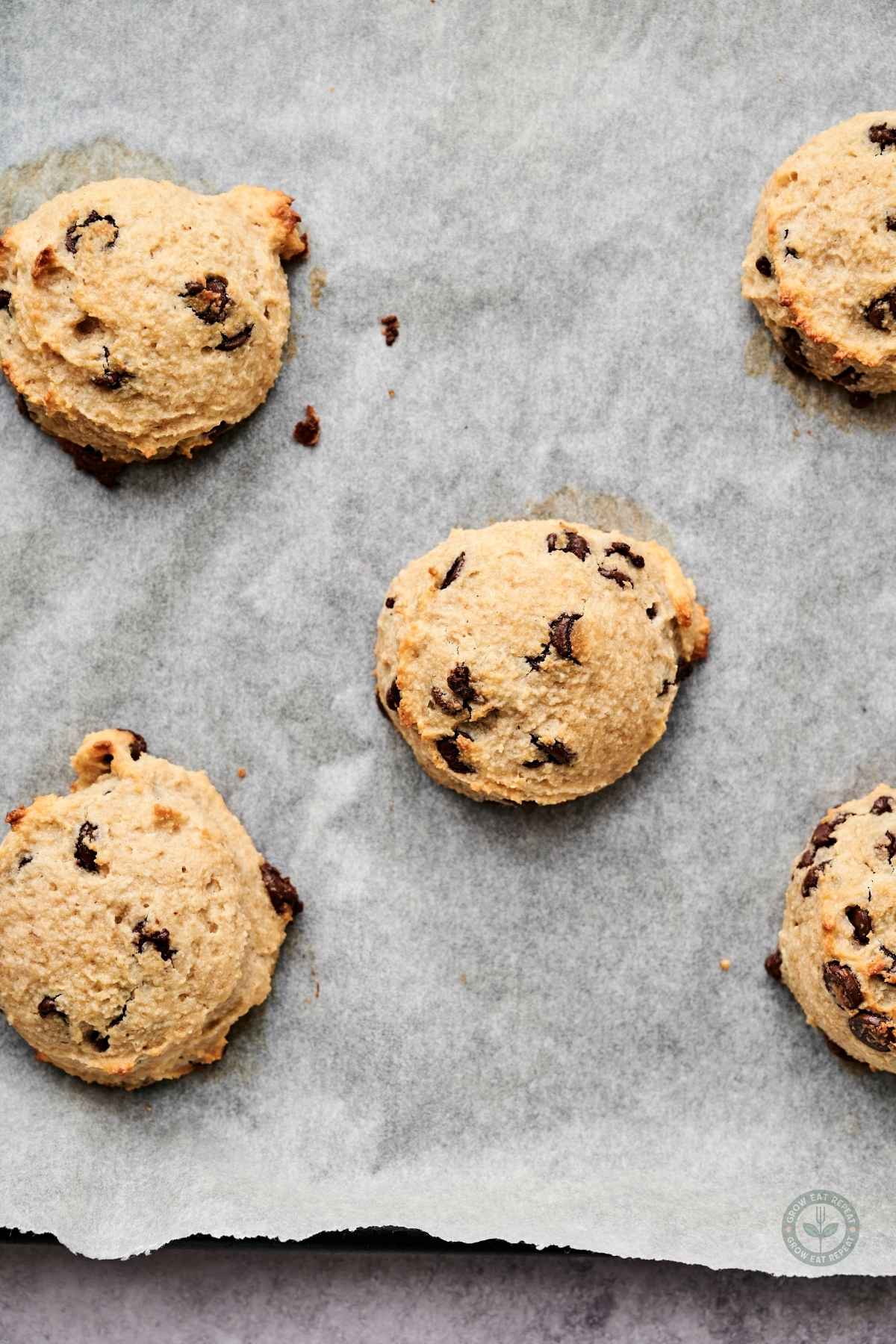 greek yogurt protein cookies 14